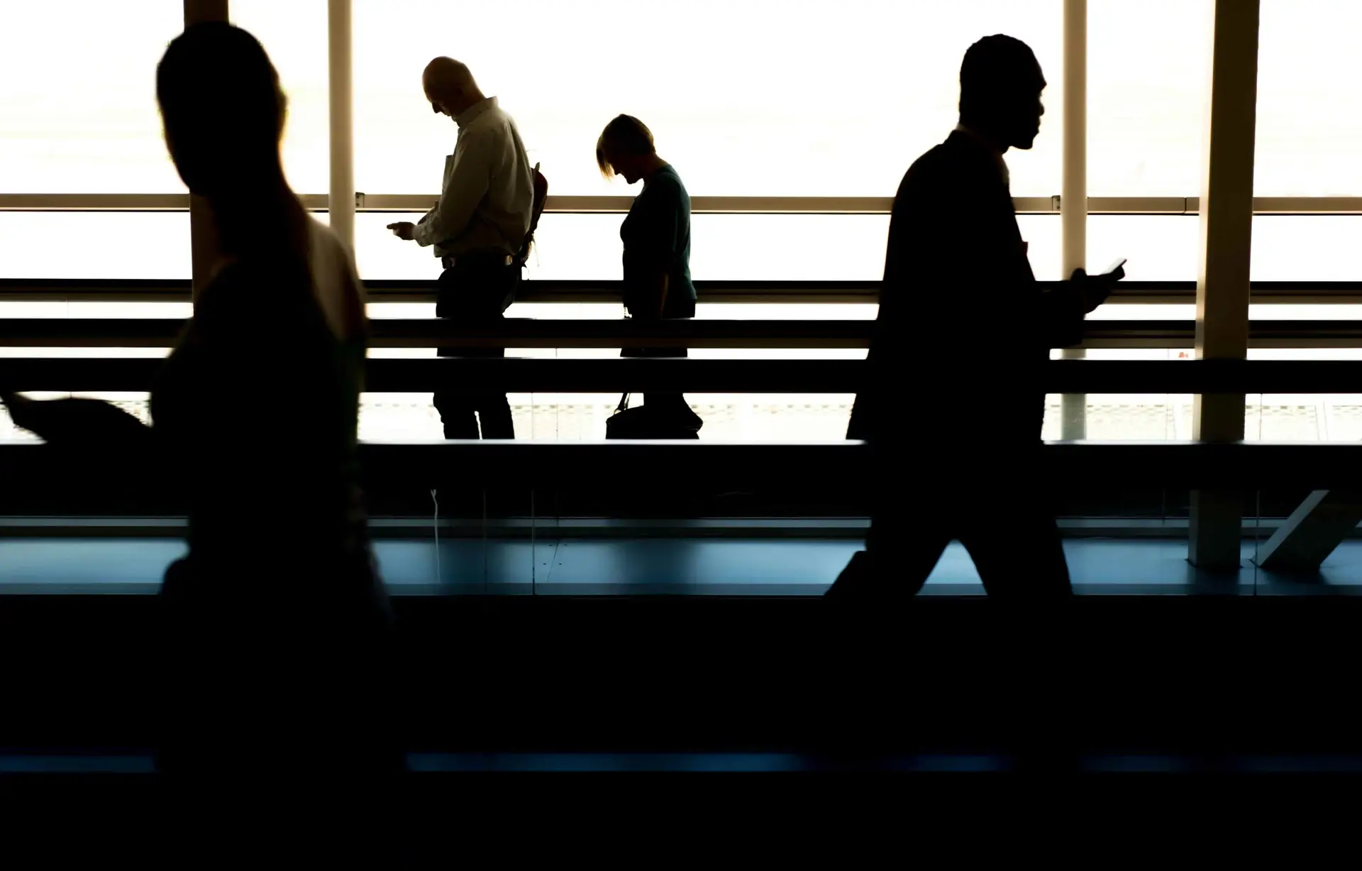 Silhouette of different people busy with their roles in their organisation.
